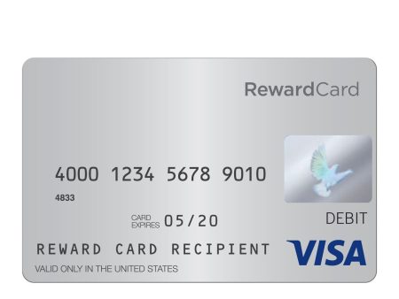 Visa $100 Gift Card (Allow 2 -4 weeks for delivery) (Incentive Only, Not for Resale) on Sale